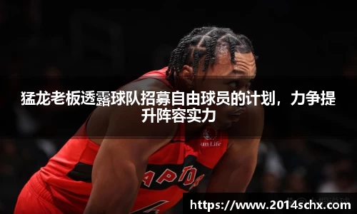 猛龙老板透露球队招募自由球员的计划，力争提升阵容实力