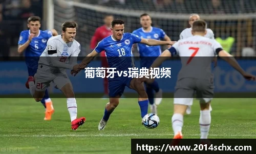 葡萄牙vs瑞典视频