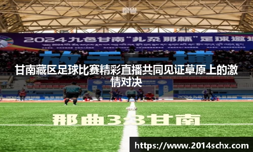 甘南藏区足球比赛精彩直播共同见证草原上的激情对决