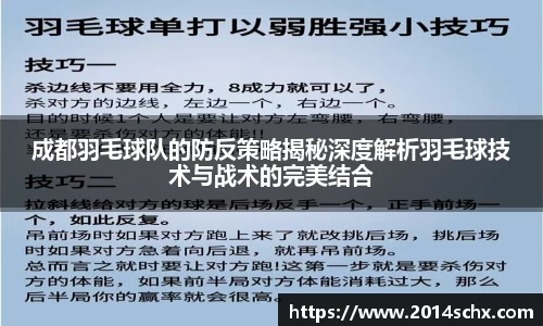 成都羽毛球队的防反策略揭秘深度解析羽毛球技术与战术的完美结合