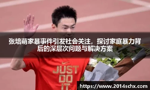 张培萌家暴事件引发社会关注，探讨家庭暴力背后的深层次问题与解决方案