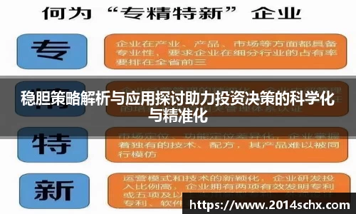 稳胆策略解析与应用探讨助力投资决策的科学化与精准化
