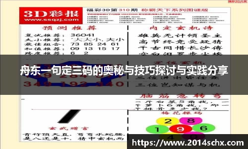 舟东一句定三码的奥秘与技巧探讨与实践分享