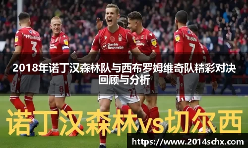 2018年诺丁汉森林队与西布罗姆维奇队精彩对决回顾与分析